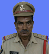 narasimha rao