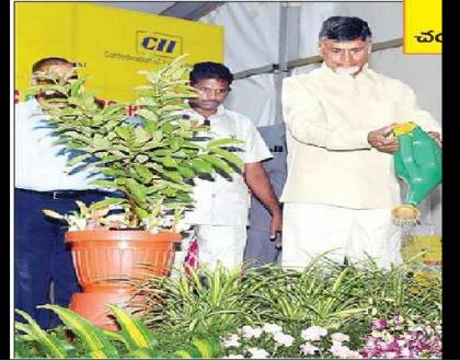 సేంద్రీయ పంటలతో రెండింతల ఆదాయం