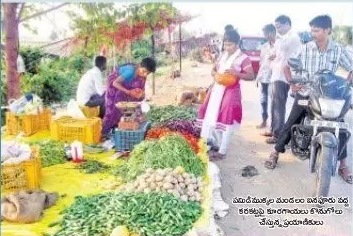 తాజా తాజాగా ..