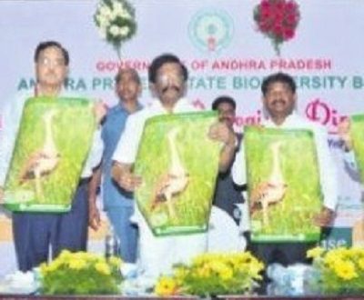 పర్యావరణాన్ని కాపాడాల్సిన బాధ్యత ప్రతి ఒక్కరిది
