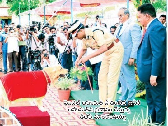 జాగిలాలు.. భళా!