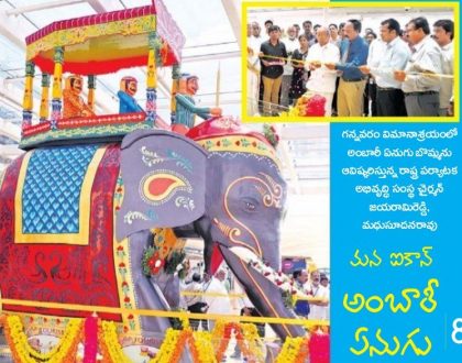 మన ఐకాన్ అంబారీ ఏనుగు