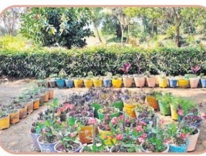 నవ్యాంధ్రకు హరిత శోభ