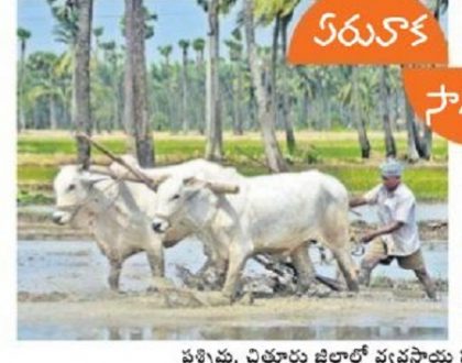 నేడే రైతు పండుగ