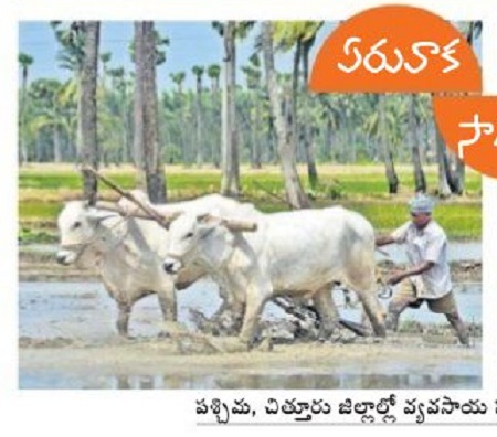 నేడే రైతు పండుగ