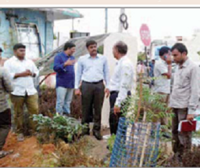 గ్రీనరీ అభివృద్ధి పనులు వేగవంతం