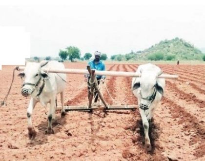 చిగురిస్తున్న ఆశలు