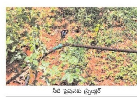 మొక్కలకు స్మార్ట్ వాటరింగ్