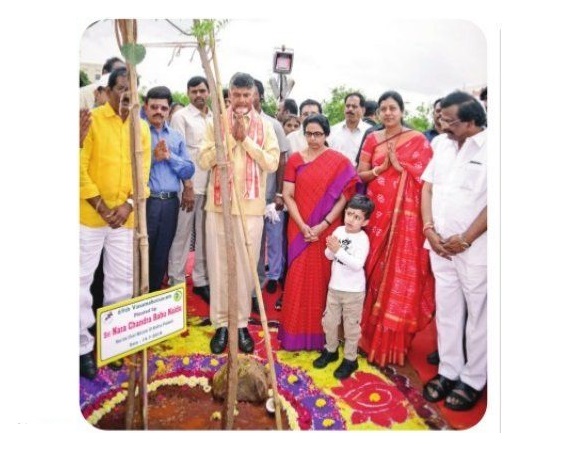 పుట్టినరోజున మొక్కనాటండి