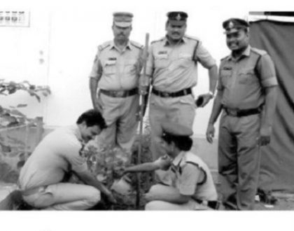 'వనం - మనం' కార్యక్రమం