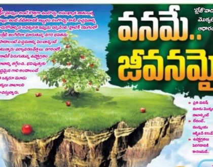 వనమే.. జీవనమై