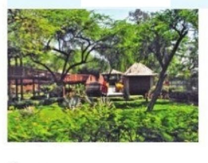పర్యాటక కేంద్రాలుగా నర్సరీలు