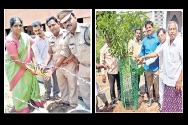 మొక్కలు నాటండి .......  కాపాడండి
