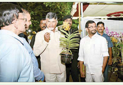 ఉద్యానవనం