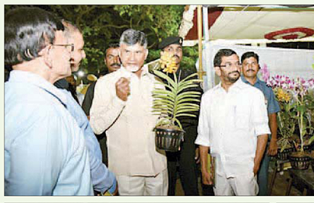 ఉద్యానవనం