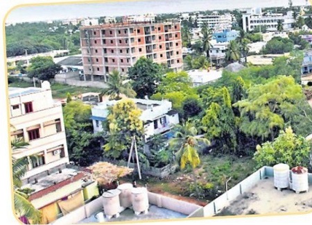 బ్రాండ్ బందర్..