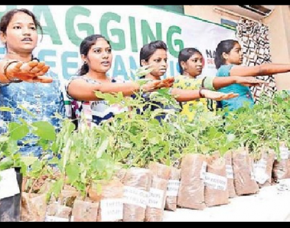 మొక్కలూ... మా నేస్తాలే.....