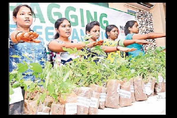 మొక్కలూ... మా నేస్తాలే.....