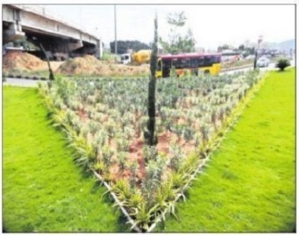 బెజవాడలో ధమ్మచక్ర