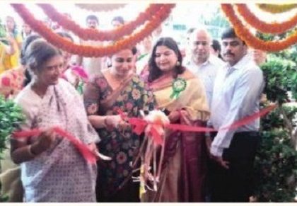 అబ్బురపర్చిన బోన్సాయ్ మొక్కల ప్రదర్శన