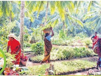 పచ్చని నైపుణ్యం.. పడతుల సొంతం