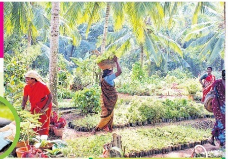 పచ్చని నైపుణ్యం.. పడతుల సొంతం