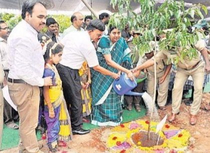 మొక్కలతోనే మనుగడ