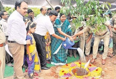 మొక్కలతోనే మనుగడ