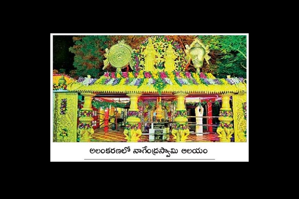 చోడవరంలో పూజలు ఆరంభం