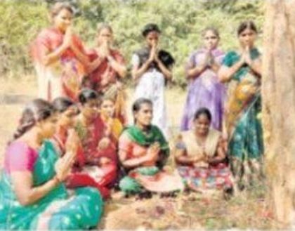 కార్తీక వన మహోత్సవ సందడి