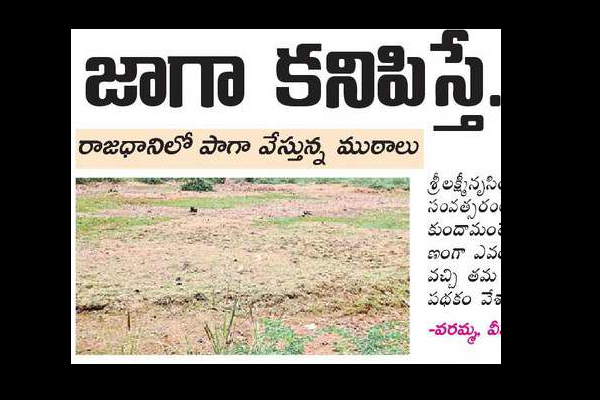 జాగా కనిపిస్తే ....