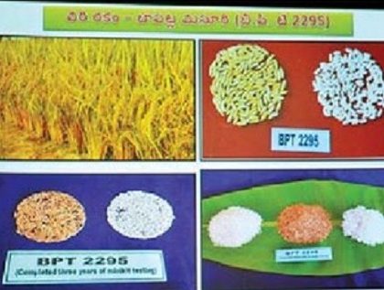 నవవంగడాలు