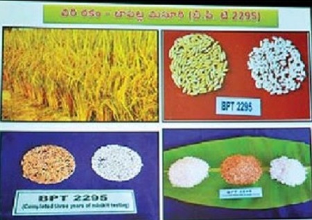 నవవంగడాలు
