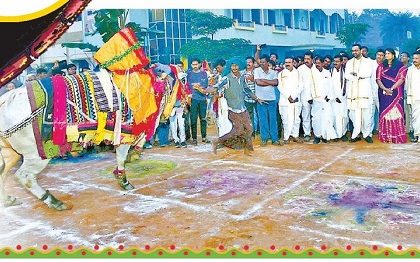 పెద్ద పండగ.. పల్లె మురువంగ
