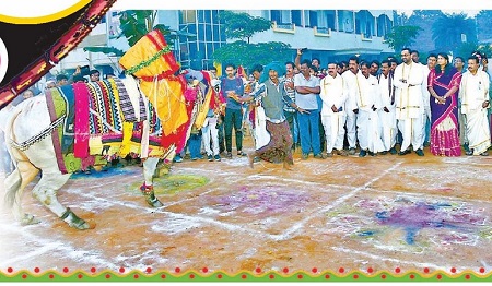 పెద్ద పండగ.. పల్లె మురువంగ