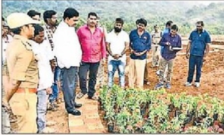 27న సీతాకోకచిలుకల పార్కు ప్రారంభం