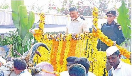 ఉత్సాహంగా... జన్మభూమి మా ఊరు