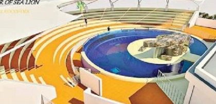 త్వరలో ద్వీ పంలో సముద్ర సింహం
