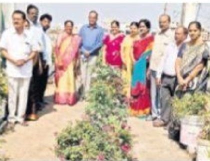 వ్యర్థాలతో వండర్