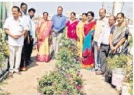 వ్యర్థాలతో వండర్