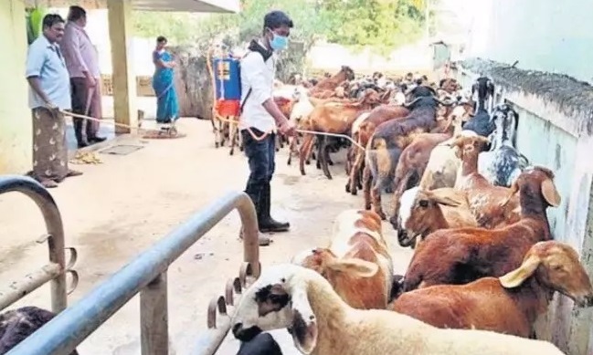 పాడిని కాపాడి