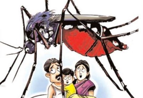 అవగాహనే బలం .. డెంగీ దూరం !