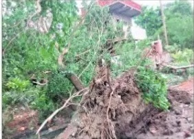 గాలివాన బీభత్సం