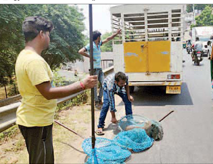 ఊరకుక్కల పట్టివేత