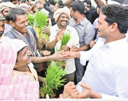 అన్నదాత మురిచేను