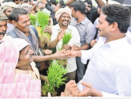 అన్నదాత మురిచేను
