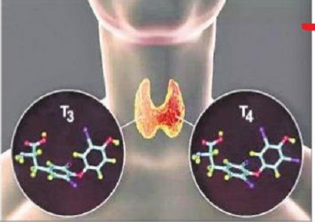 అయోడిన్ లోపం ప్రమాదకరం