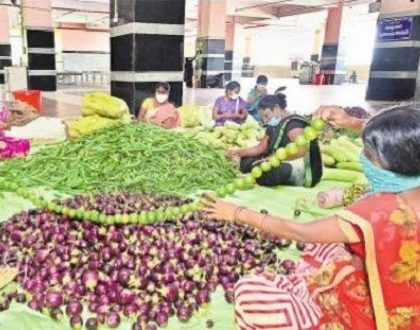 దుర్గగుడికి శాకంబరి శోభ