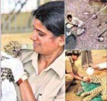 లయన్ క్వీన్