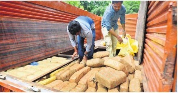 గంజాయి అమ్మకాలపై నిఘా